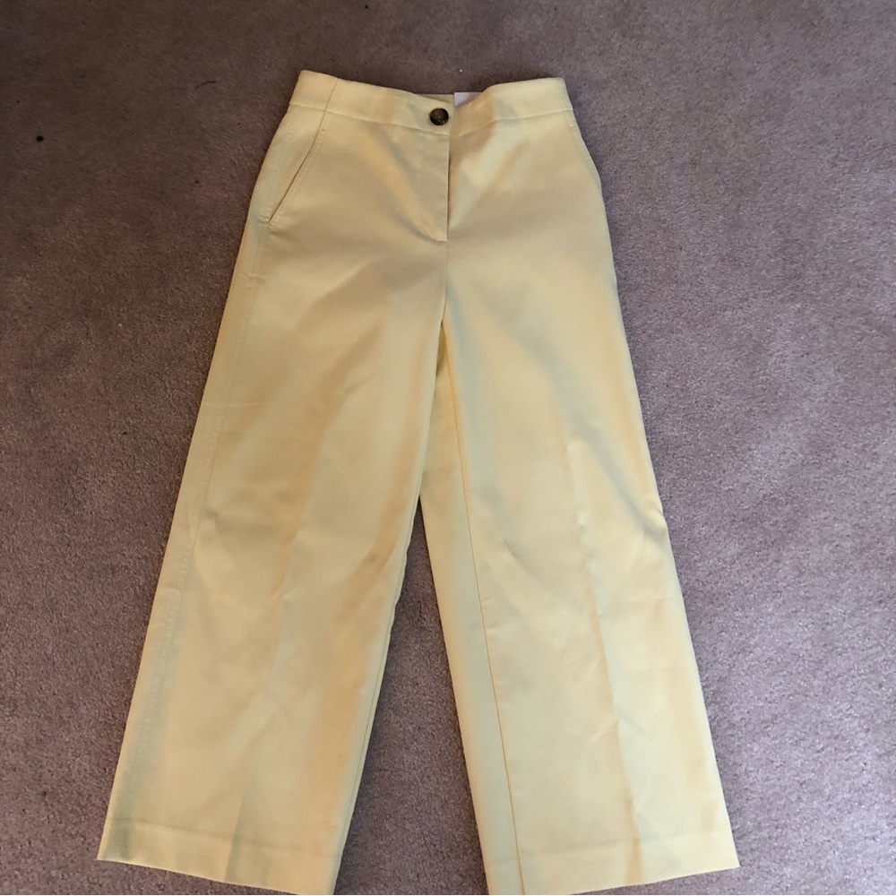 Wide leg cropped Ann Taylor pant NEVER WORN.